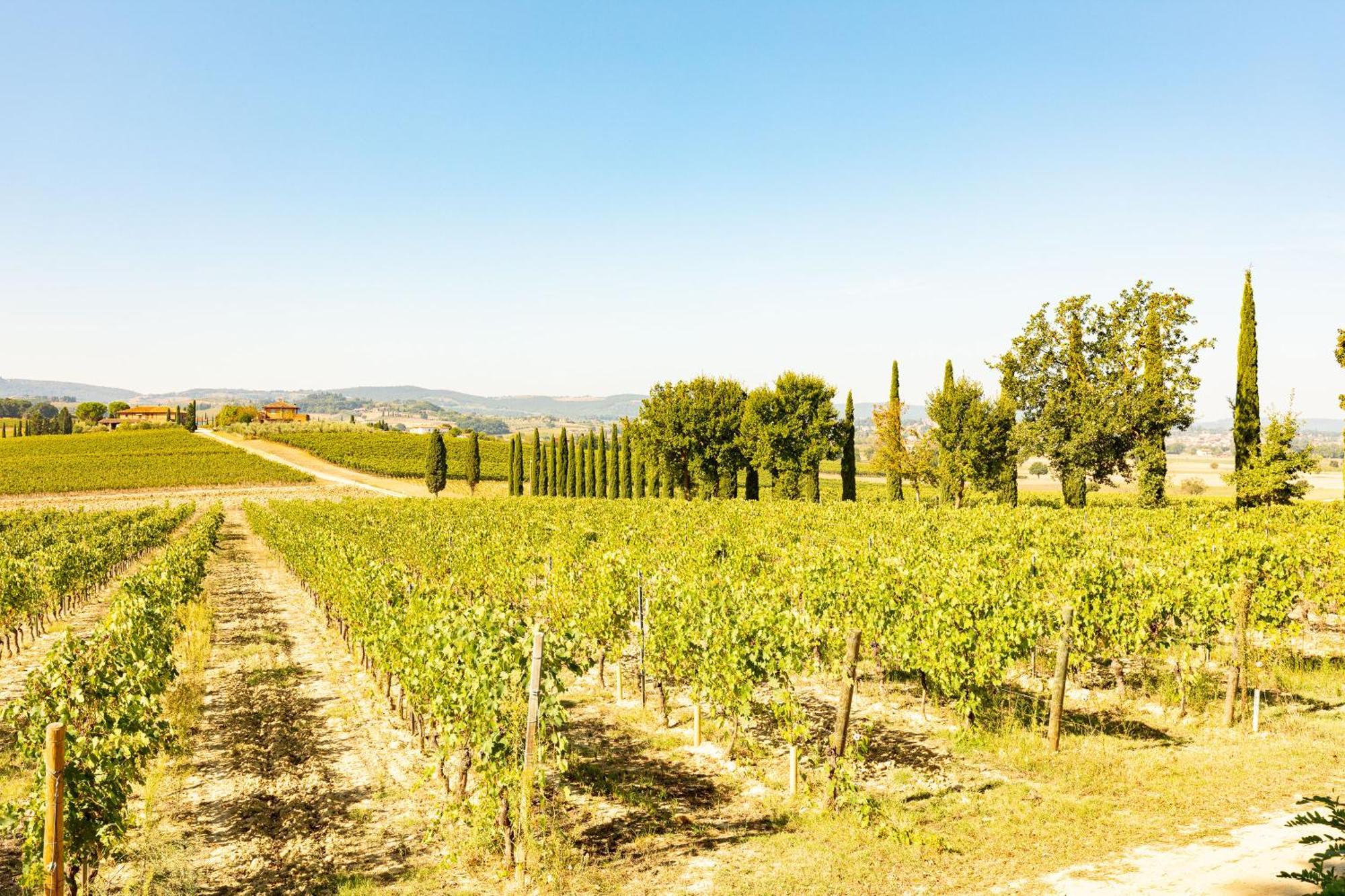 Appartamento Greppino Montepulciano Stazione Exteriér fotografie