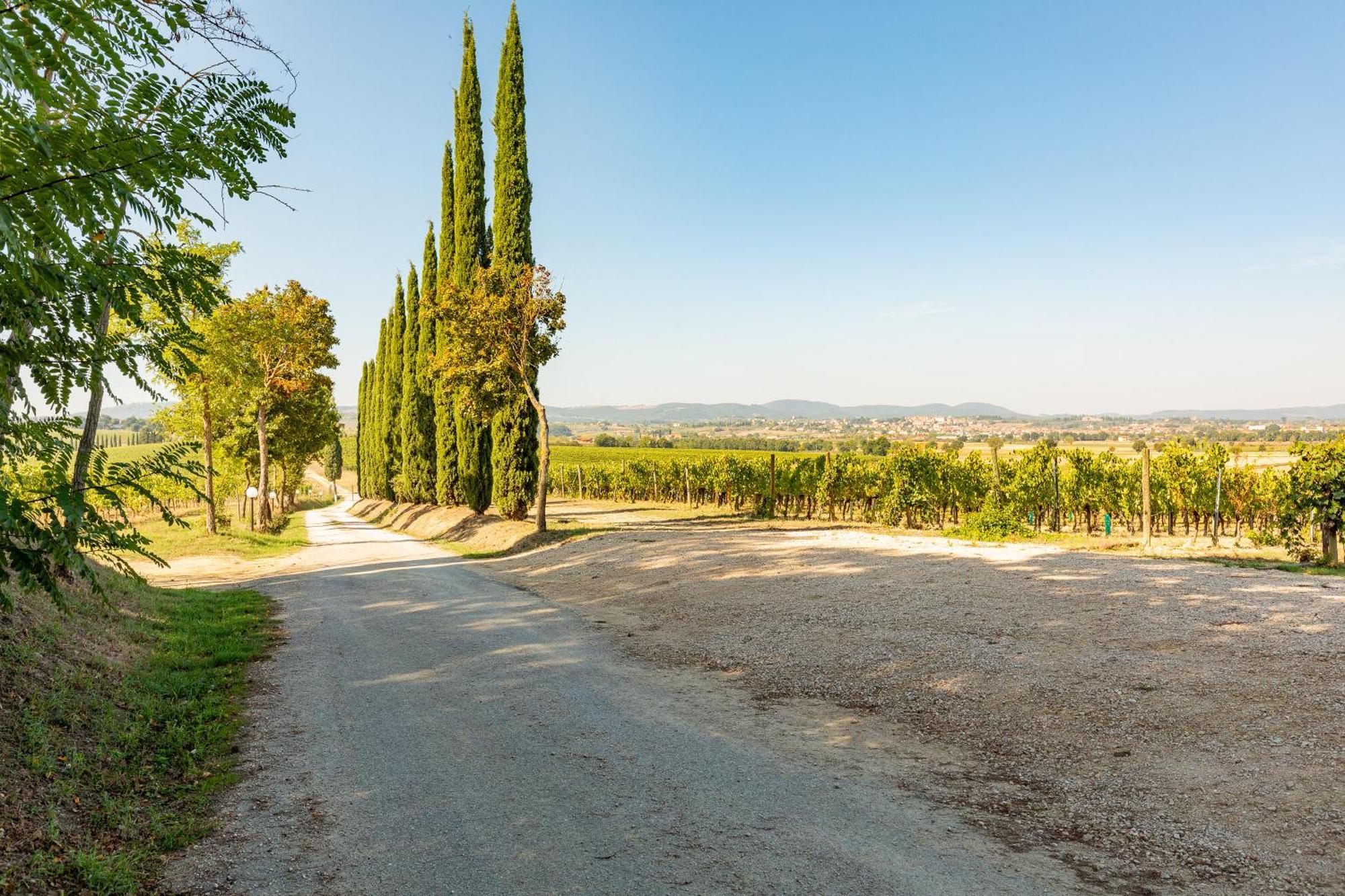 Appartamento Greppino Montepulciano Stazione Exteriér fotografie