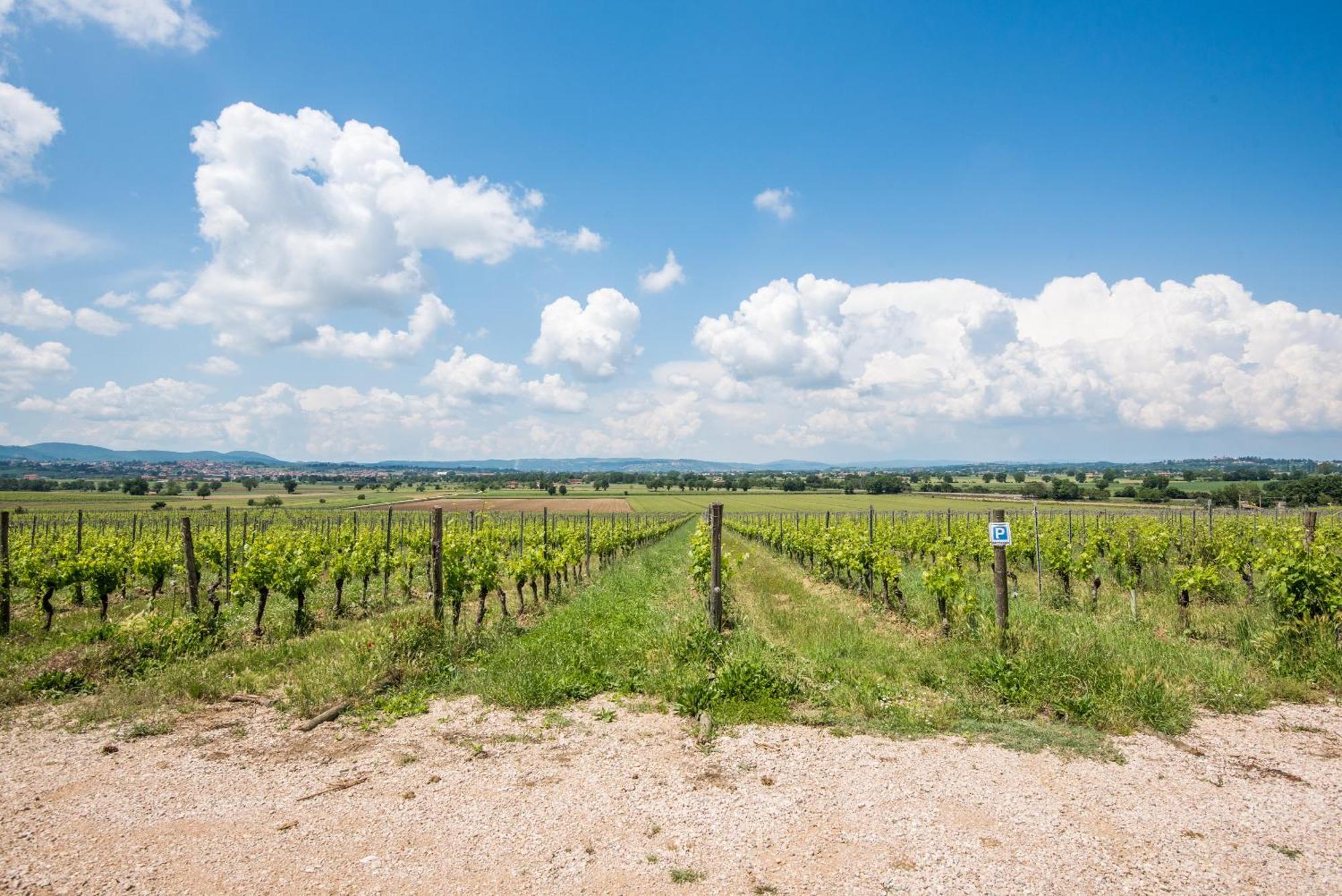 Appartamento Greppino Montepulciano Stazione Exteriér fotografie